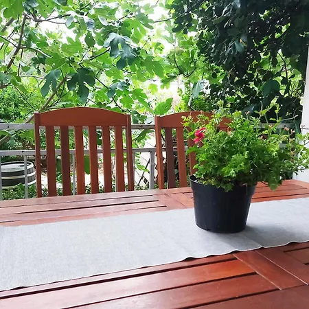 Cosy With Terrace For 2 Guests And Pets In The Center Of * Vodice
