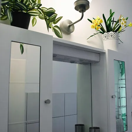 Appartement Cosy With Terrace For 2 Guests And Pets In The Center Of *